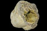 Yellow Crystal Filled Septarian Geode - Utah #98392-2